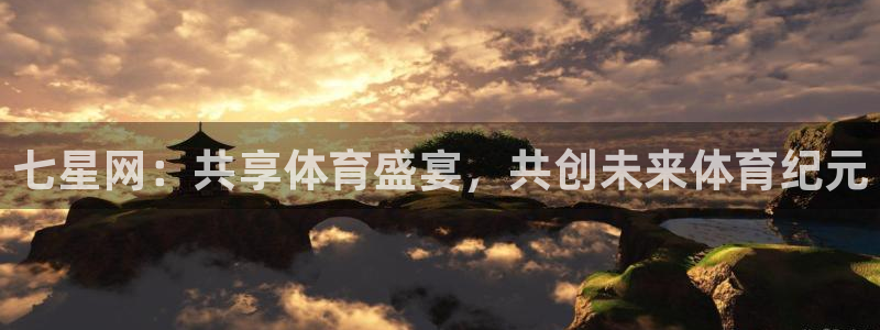 七星网：共享体育盛宴，共创未来体育纪元