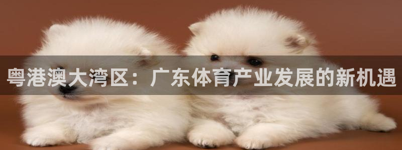 粤港澳大湾区：广东体育产业发展的新机遇