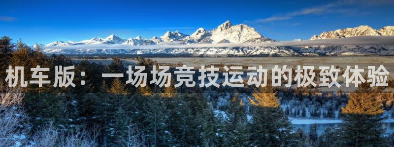 机车版：一场场竞技运动的极致体验