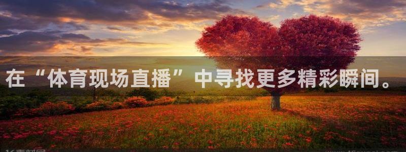 在“体育现场直播”中寻找更多精彩瞬间。